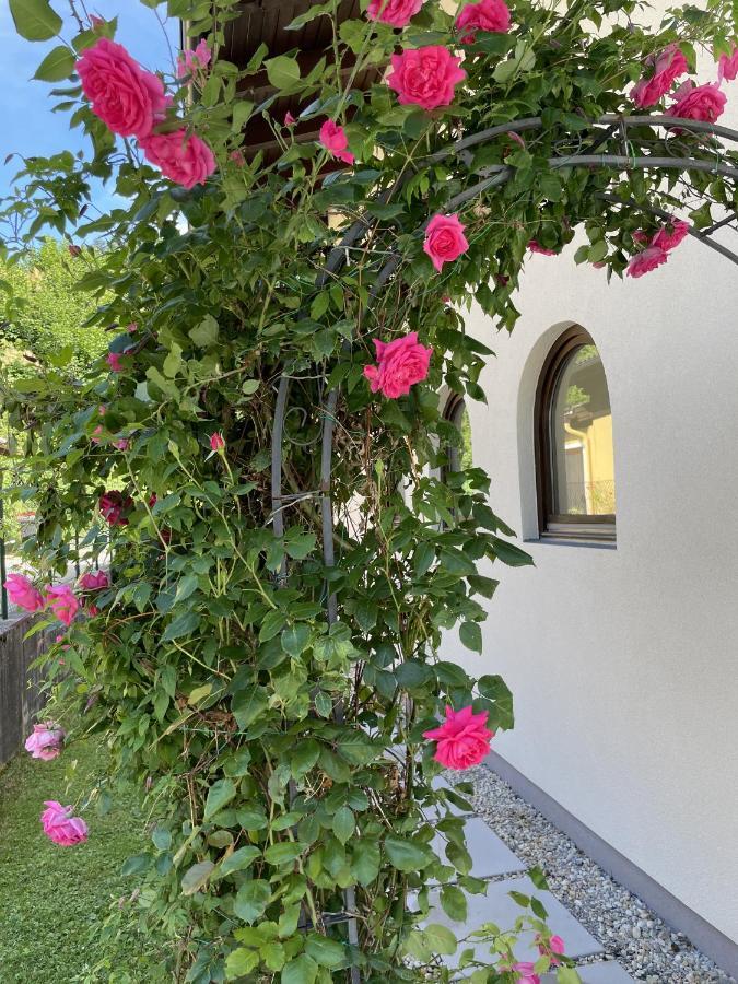 Appartement Erlbacher Lungötz Exteriör bild